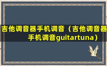 吉他调音器手机调音（吉他调音器手机调音guitartuna）