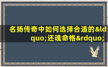 名扬传奇中如何选择合适的“还魂命格”