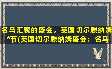 名马汇聚的盛会，英国切尔滕纳姆*节(英国切尔滕纳姆盛会：名马汇聚的*节)