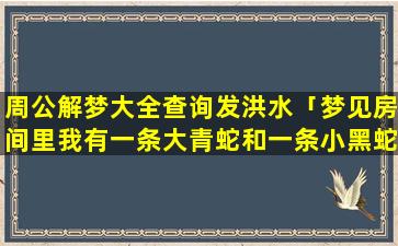 周公解梦大全查询发洪水「梦见房间里我有一条大青蛇和一条小黑蛇被我打死了，这象征着什么。我是学生」