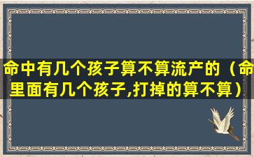 命中有几个孩子算不算流产的（命里面有几个孩子,打掉的算不算）