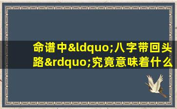 命谱中“八字带回头路”究竟意味着什么