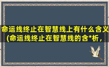 命运线终止在智慧线上有什么含义(命运线终止在智慧线的含*析，了解手相中最关键的线路！)