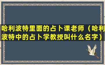 哈利波特里面的占卜课老师（哈利波特中的占卜学教授叫什么名字）