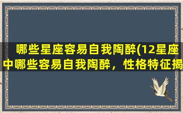 哪些星座容易自我陶醉(12星座中哪些容易自我陶醉，性格特征揭秘！)