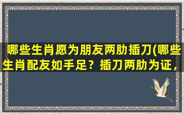 哪些生肖愿为朋友两肋插刀(哪些生肖配友如手足？插刀两肋为证，共聚毫不累)