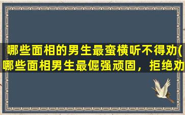 哪些面相的男生最蛮横听不得劝(哪些面相男生最倔强顽固，拒绝劝告？寻找面相特征的线索！)