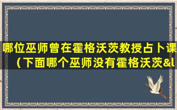 哪位巫师曾在霍格沃茨教授占卜课（下面哪个巫师没有霍格沃茨“特殊贡献奖”）