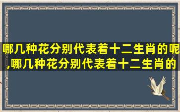 哪几种花分别代表着十二生肖的呢,哪几种花分别代表着十二生肖的呢图片