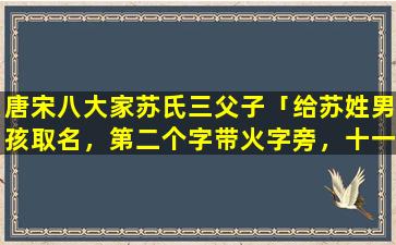 唐宋八大家苏氏三父子「给苏姓男孩取名，第二个字带火字旁，十一画，第三个字十画」