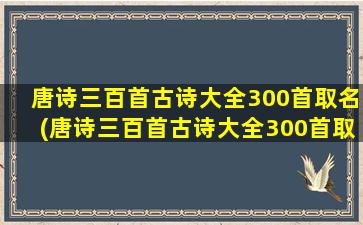 唐诗三百首古诗大全300首取名(唐诗三百首古诗大全300首取名字)