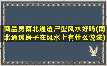 商品房南北通透户型风水好吗(南北通透房子在风水上有什么说法)