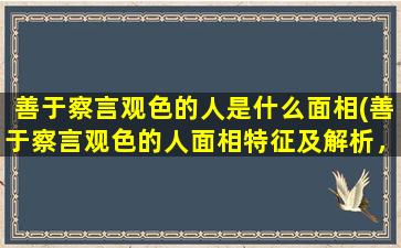 善于察言观色的人是什么面相(善于察言观色的人面相特征及解析，助你轻松了解他人内心)