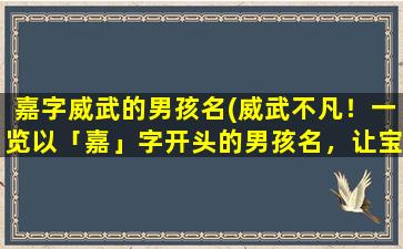 嘉字威武的男孩名(威武不凡！一览以「嘉」字开头的男孩名，让宝宝气势磅礴！)