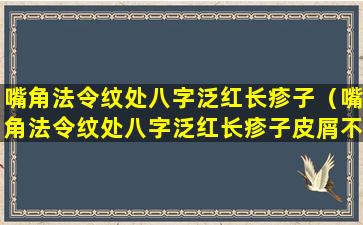 嘴角法令纹处八字泛红长疹子（嘴角法令纹处八字泛红长疹子皮屑不痛不痒）