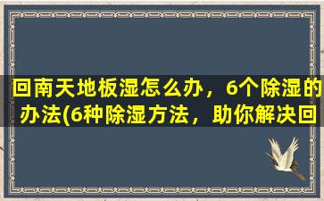 回南天地板湿怎么办，6个除湿的办法(6种除湿方法，助你解决回南天地板湿问题)