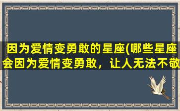 因为爱情变勇敢的星座(哪些星座会因为爱情变勇敢，让人无法不敬佩？)