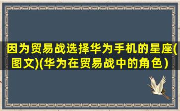 因为贸易战选择华为手机的星座(图文)(华为在贸易战中的角色）