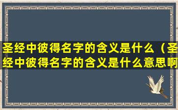 圣经中彼得名字的含义是什么（圣经中彼得名字的含义是什么意思啊）