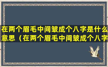 在两个眉毛中间皱成个八字是什么意思（在两个眉毛中间皱成个八字是什么意思啊）