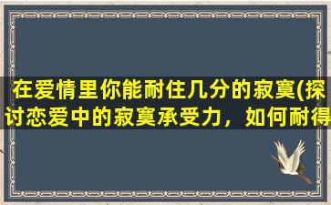 在爱情里你能耐住几分的寂寞(探讨恋爱中的寂寞承受力，如何耐得住心灵的孤独)