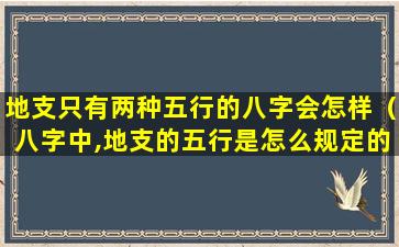 地支只有两种五行的八字会怎样（八字中,地支的五行是怎么规定的）