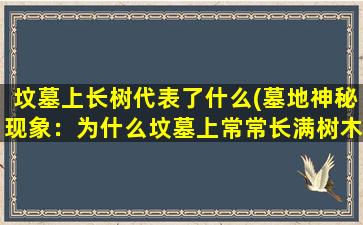 坟墓上长树代表了什么(墓地神秘现象：为什么坟墓上常常长满树木？)