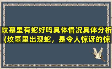 坟墓里有蛇好吗具体情况具体分析(坟墓里出现蛇，是令人惊讶的惊奇发现，但对于墓主人和生物学上的影响是什么？)