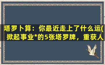 塔罗卜算：你最近走上了什么运(掀起事业*的5张塔罗牌，重获人生主动权的秘诀)