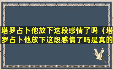 塔罗占卜他放下这段感情了吗（塔罗占卜他放下这段感情了吗是真的吗）