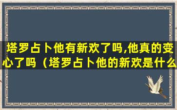 塔罗占卜他有新欢了吗,他真的变心了吗（塔罗占卜他的新欢是什么类型女人）