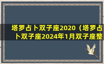 塔罗占卜双子座2020（塔罗占卜双子座2024年1月双子座整体运势）