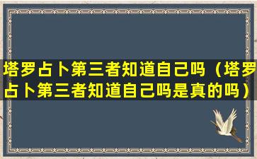 塔罗占卜第三者知道自己吗（塔罗占卜第三者知道自己吗是真的吗）