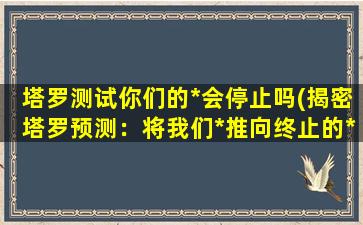 塔罗测试你们的*会停止吗(揭密塔罗预测：将我们*推向终止的*)