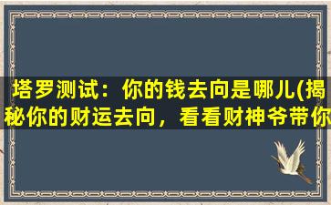 塔罗测试：你的钱去向是哪儿(揭秘你的财运去向，看看财神爷带你去哪儿)