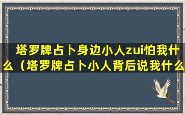 塔罗牌占卜身边小人zui怕我什么（塔罗牌占卜小人背后说我什么）