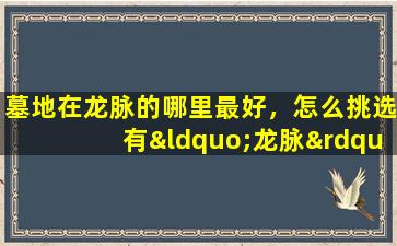 墓地在龙脉的哪里最好，怎么挑选有“龙脉”的风水好的墓地呢