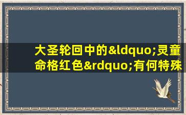 大圣轮回中的“灵童命格红色”有何特殊含义