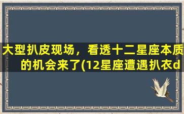 大型扒皮现场，看透十二星座本质的机会来了(12星座遭遇扒衣di一反应）