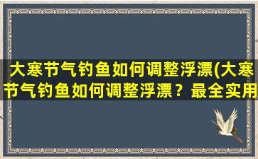 大寒节气钓鱼如何调整浮漂(大寒节气钓鱼如何调整浮漂？最全实用技巧大揭秘！)