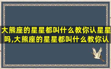 大熊座的星星都叫什么教你认星星吗,大熊座的星星都叫什么教你认星星吗英文