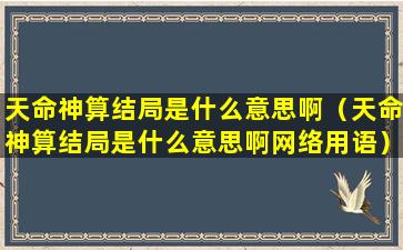 天命神算结局是什么意思啊（天命神算结局是什么意思啊网络用语）