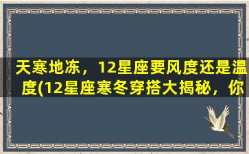 天寒地冻，12星座要风度还是温度(12星座寒冬穿搭大揭秘，你更看重风度还是温度？)