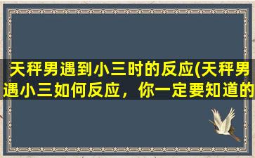 天秤男遇到小三时的反应(天秤男遇小三如何反应，你一定要知道的5种情况)