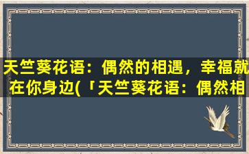 天竺葵花语：偶然的相遇，幸福就在你身边(「天竺葵花语：偶然相遇，幸福便近在咫尺」)