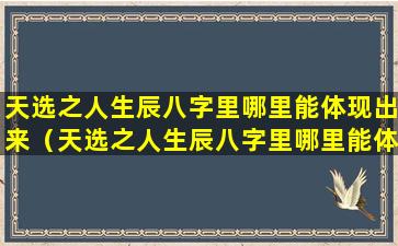 天选之人生辰八字里哪里能体现出来（天选之人生辰八字里哪里能体现出来呢）