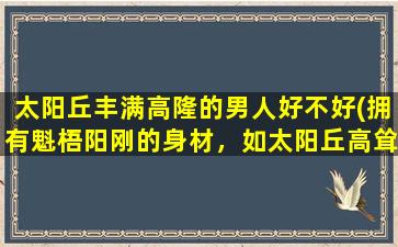 太阳丘丰满高隆的男人好不好(拥有魁梧阳刚的身材，如太阳丘高耸的男人最具魅力)