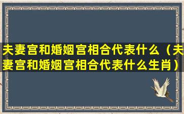 夫妻宫和婚姻宫相合代表什么（夫妻宫和婚姻宫相合代表什么生肖）