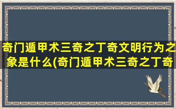 奇门遁甲术三奇之丁奇文明行为之象是什么(奇门遁甲术三奇之丁奇文明行为之象全解析)