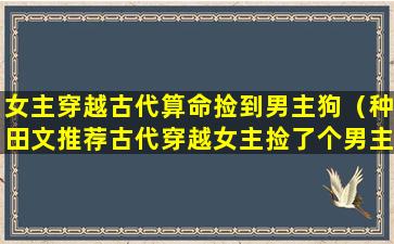 女主穿越古代算命捡到男主狗（种田文推荐古代穿越女主捡了个男主）